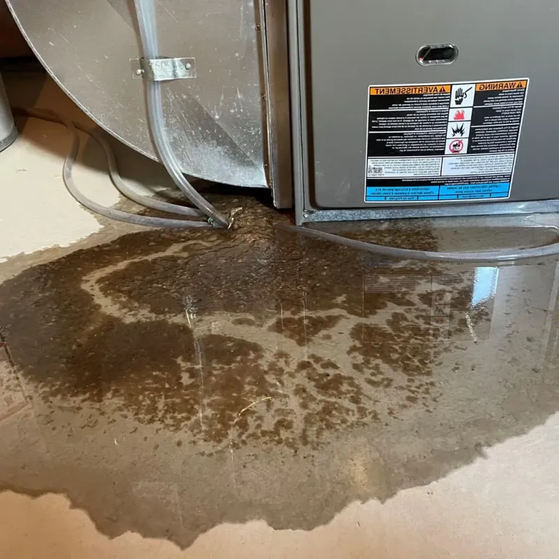 Pipe Burst and Leak Restoration in Sidney, IA