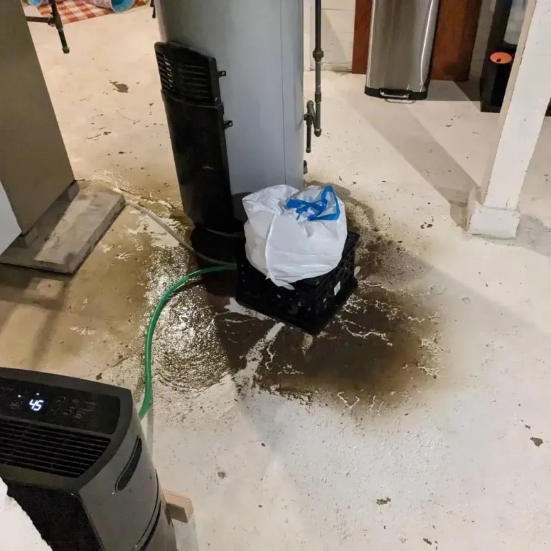 Sewage Backup Cleanup Service in Sidney, IA